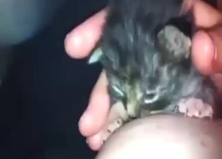 Titty licker kitten gets aroused in a POV movie