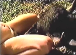 Hot bestiality porn showing slutty lady taking it