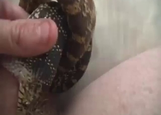 Horny zoophile has plans for that slutty snake
