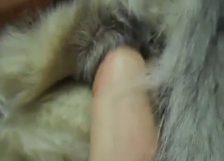 Initiating bestiality sex by shoving a toe in ass