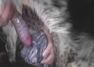 Fleshlight dog fuck movie with real orgasms