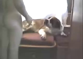 Screwing that slutty animal is the best for him