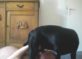 Black beast is going to enjoy his sucking skills