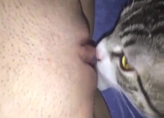 Cat with a crafty tongue wants that pussy
