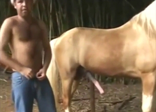 Stallion is going to flaunt its cock to seduce