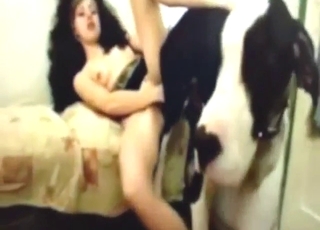 Gypsy-looking  hottie wants dog cock inside