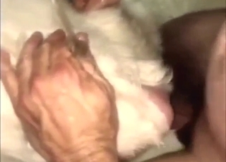 White goat fucked by two dudes: zoophile porn
