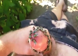 Zoophile flaunts that crotch with flies all over