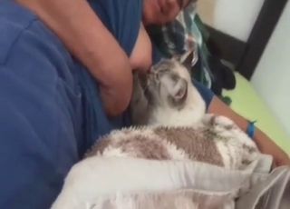 En zoofil matar sin melkiga tit åt en knullande katt.