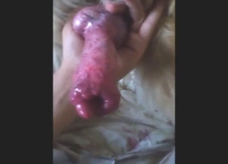 Bestiality porn with a dog that wants cock licking