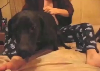 Zoo porn movie with a dog riding a nice cock
