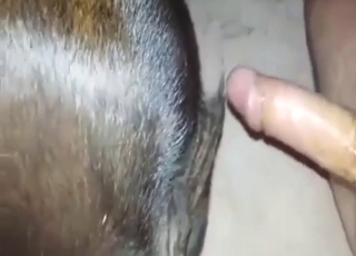 Calf is going to get ripped apart by a hot guy