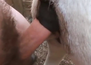 Donkey hole fuck with lots of incredible close-ups