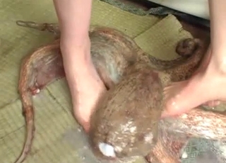 Pair of Asians with a pissing fetish piss on an octopus