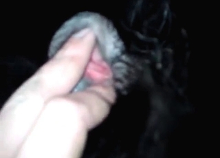 Doggy's tight twat looks so damn fuckable