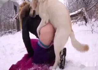 Amateur with a blond hair fucking a dog in the snow