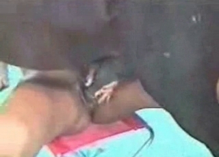 A really tight hole gets totally destroyed by a horse
