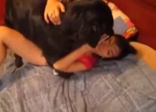 Il nero cane intensamente scopa la donna bestialità