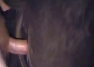 Sladka brunetka ve, kako dobiti psa do ejakulacije