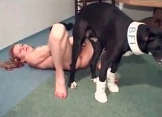 Incredible hound is totally drilling this wet pussy for fun
