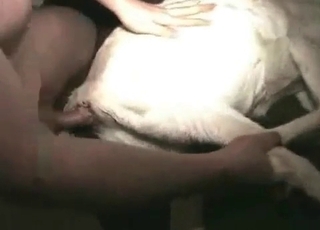 Zoophile fucks his own doggy on the camera