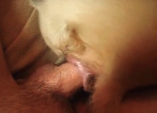 Sexy owner and a hot doggy are both enjoying nasty sex