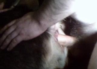 Horny beast is dominating a horny zoophiliac