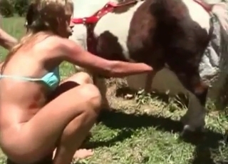年輕駿馬與淫穢至極的動物愛好者，在馬廄中展開一場充滿野性張力的獸交盛宴。