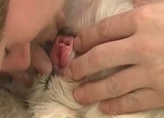 Zoophile is giving some asshole licking fun to a pet