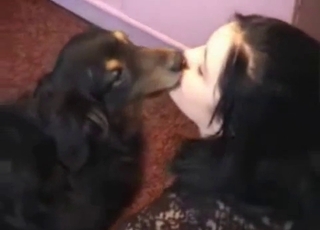 This pooch gets oral pleasure from a slutty brunette