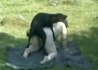 Şişman fahişe ve köpeği arasında güzel ve tutkulu bir cinsel ilişki yaşanıyor.