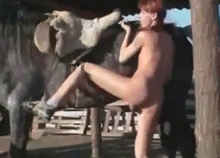 Redhead babe is trying to seduce a hot horse