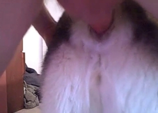 Animal cunt nicely fucked by a big cock