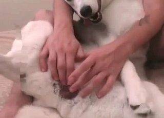 Handsome husky wants to totally stuff this tight pussy