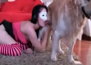 Brunette is trying hard to seduce a sweet doggy