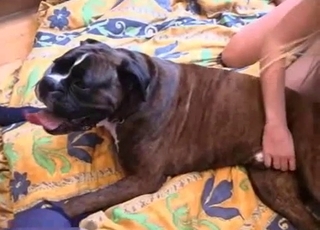 Blonde bitch really wants to fuck this cute mutts