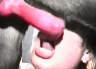 Amazingly stunning whore really likes bestiality