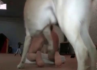 Blonde whore gets banged hard by a zealous doggie