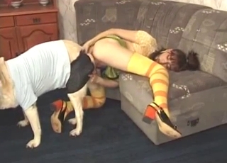 Hot wife gets totally ravaged by an insatiable black beast