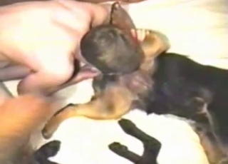 Crazy and nasty amateur bestiality sex action