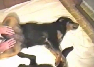 Crazy and nasty amateur bestiality sex action