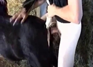 Man with a large penis is filmed from a close up