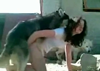 Stunning brunette is having bestial sex outdoors