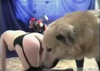 Doggy is enjoying anal sex with this hooker