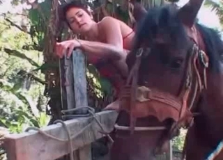 Horny woman jockey is using her stallion for all sorts of fun