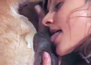 Watch how a sexy zoofil is playing with animal balls