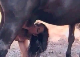 sundar brunette apne ghode ko achhi blowjob deti hai