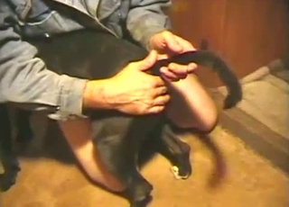 Watch how he is drilling his lovely animal