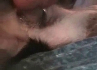 小狗在传教士姿势下被猛烈冲刺，汗水与爱液交织，展现出原始的激情与力量。