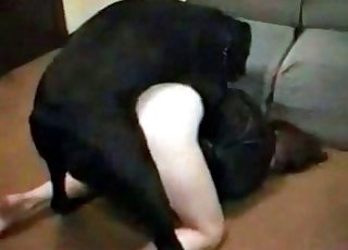 Cock hungry slut is abusing this doggo sexually